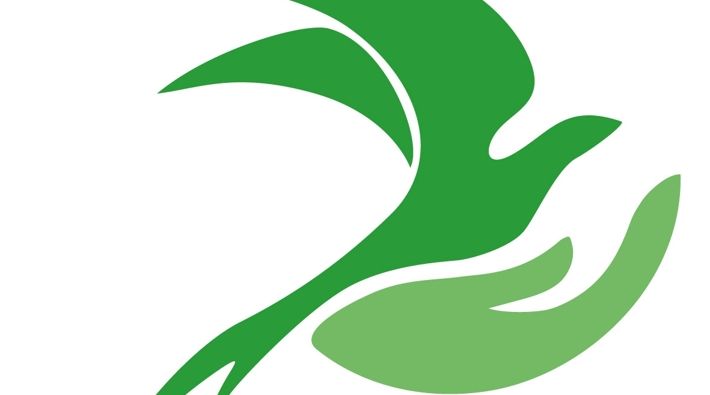Palijativa - objava u medijima