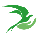 Logo palijativa
